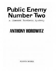      Public Enemy Number Two