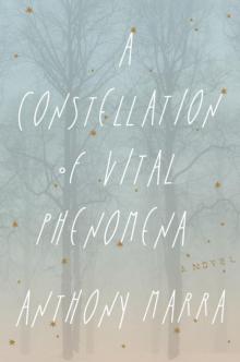      A Constellation of Vital Phenomena