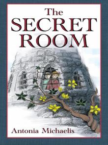      The Secret Room