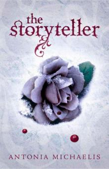      The Storyteller