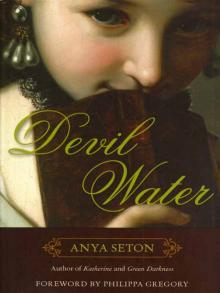      Devil Water