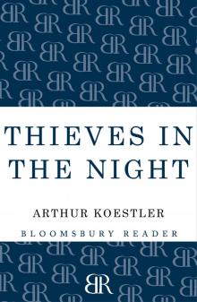      Thieves in the Night: Chronicle of an Experiment