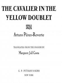      The Cavalier in the Yellow Doublet