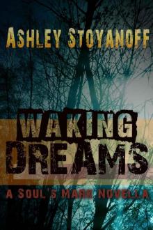      Waking Dreams (A Soul's Mark Novella)
