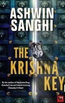      The Krishna Key