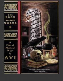      The Book Without Words: A Fable of Medieval Magic