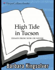      High Tide in Tucson