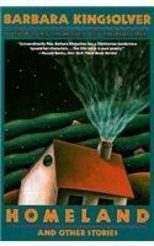      Homeland and Other Stories