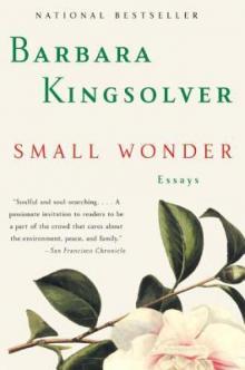      Small Wonder