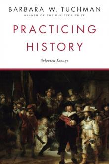      Practicing History: Selected Essays