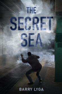      The Secret Sea