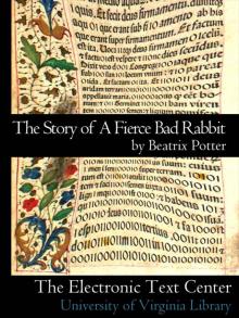      The Story of a Fierce Bad Rabbit