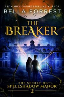      The Breaker