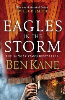      Eagles in the Storm