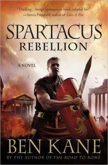      Spartacus: Rebellion