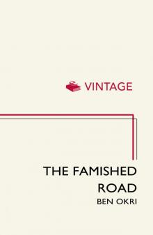      The Famished Road