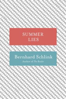      Summer Lies: Stories