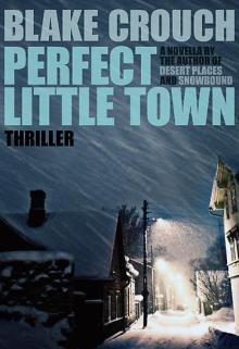      Perfect Little Town
