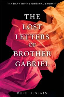      The Lost Letters of Brother Gabriel