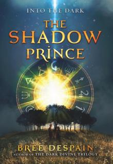      The Shadow Prince
