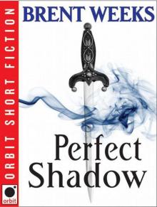      Perfect Shadow