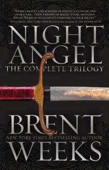      The Night Angel Trilogy
