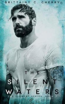      The Silent Waters