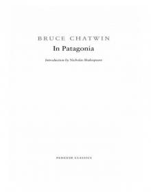      In Patagonia