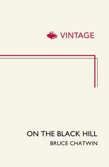      On the Black Hill