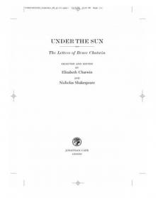      Under the Sun: The Letters of Bruce Chatwin