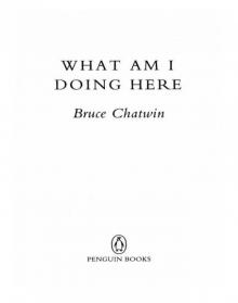      What Am I Doing Here?