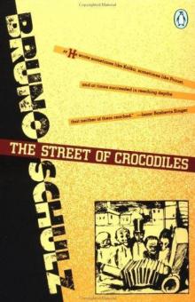      The Street of Crocodiles