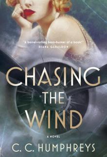      Chasing the Wind