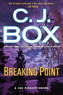      Breaking Point
