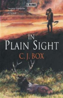      In Plain Sight