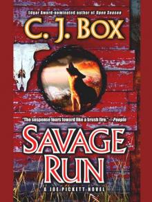      Savage Run