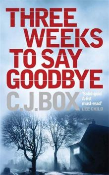      Three Weeks to Say Goodbye