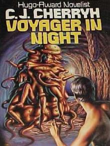      Voyager in Night