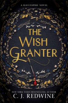      The Wish Granter