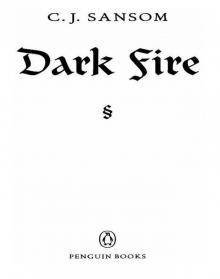     Dark Fire