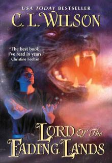      Lord of the Fading Lands