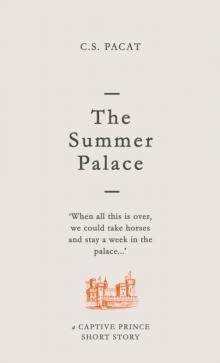      The Summer Palacee