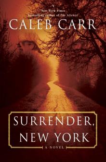      Surrender, New York