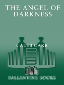      The Angel of Darkness