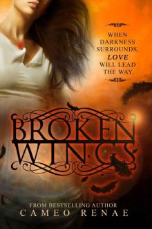      Broken Wings (Hidden Wings Series Book Two)