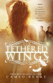      Tethered Wings (Hidden Wings Series)