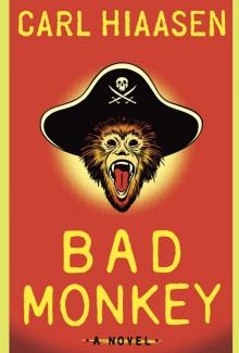      Bad Monkey
