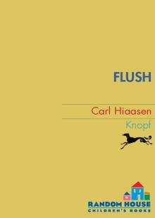      Flush