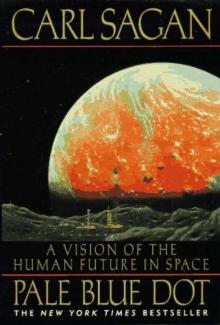      Pale Blue Dot
