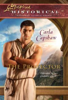      The Protector
